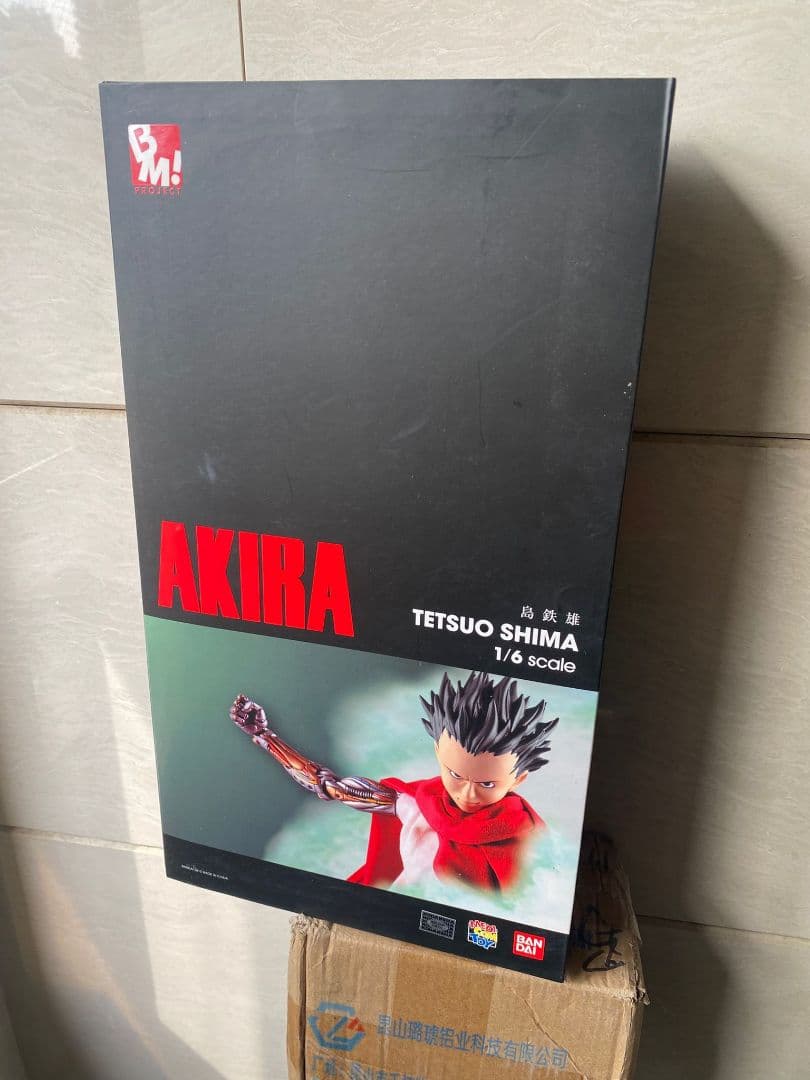 アキラ AKIRA 島鉄雄 1/6スケール PROJECT BM 新品未開封 5
