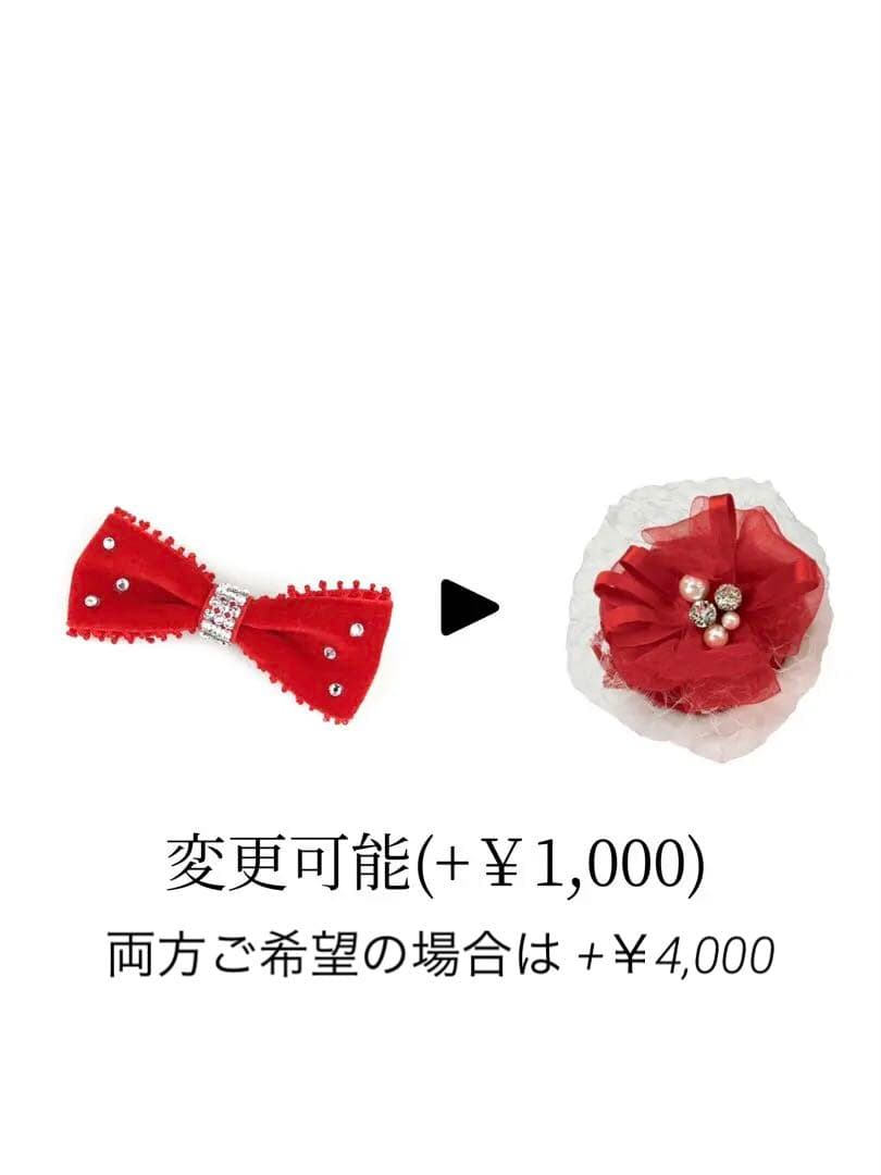 【Luxebirdie】エリアスワンピ、バレッタ