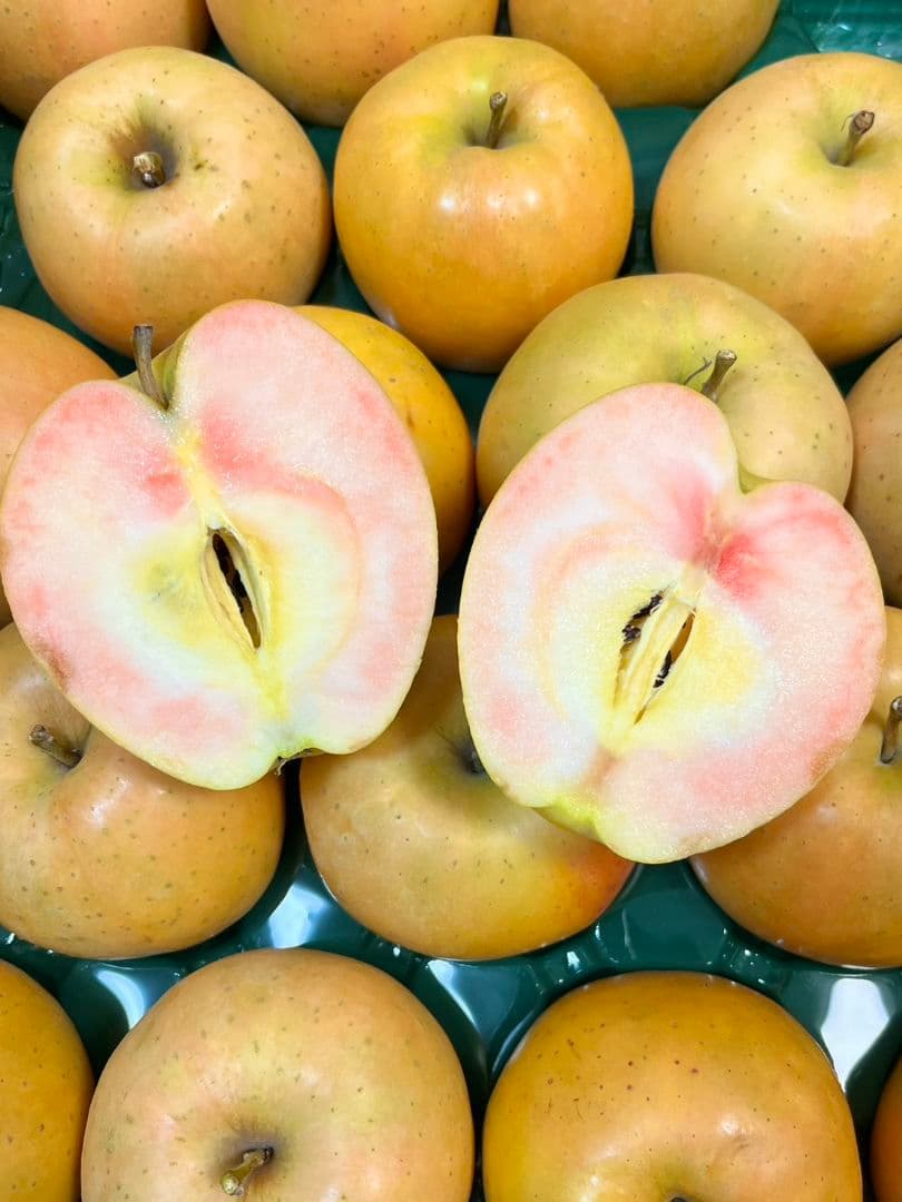 モカさん専用　5キロずつ