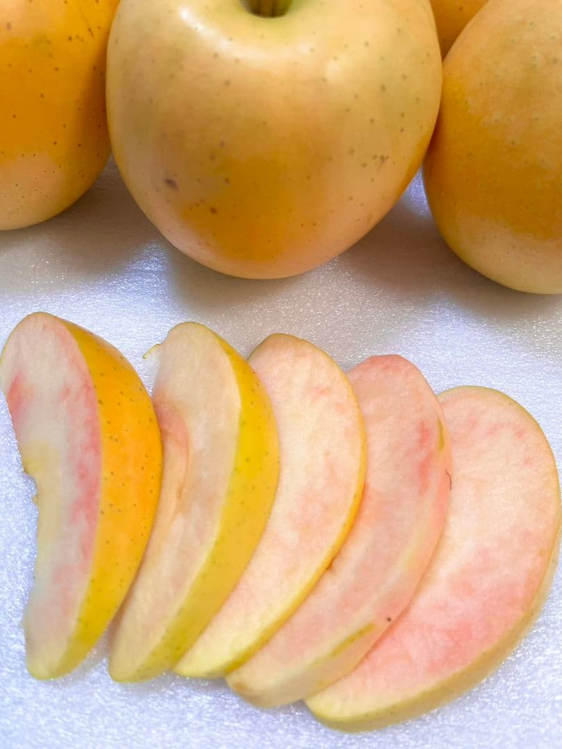 モカさん専用　5キロずつ