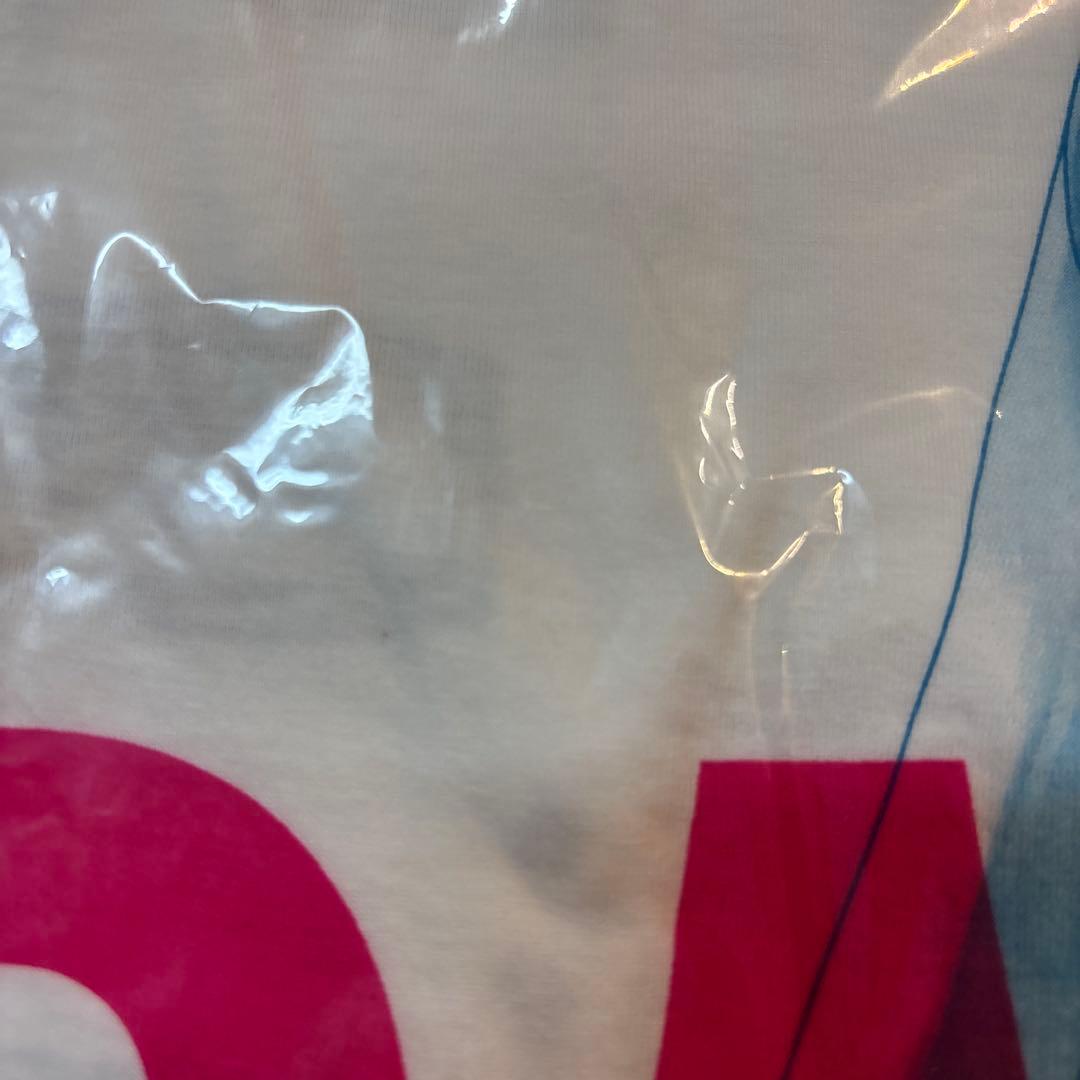 BUMP OF CHICKEN☆初音ミクTシャツ（L）☆バンプオブチキン