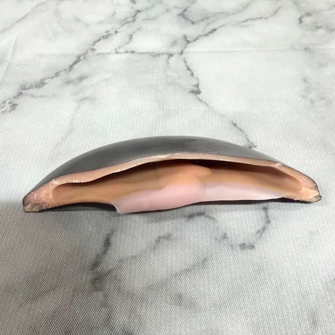 【佐藤製薬】サトちゃん サトコちゃん バンク【非売品】【破損あり】