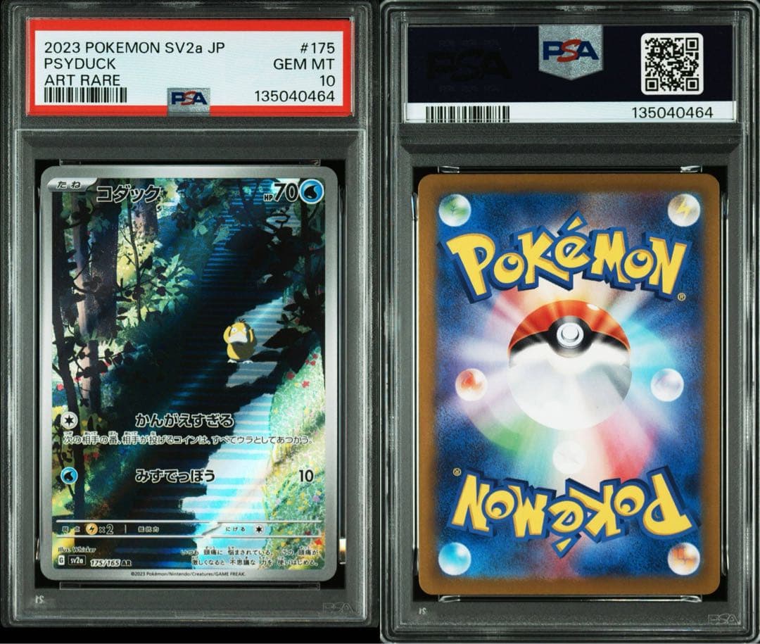 コダック　ar 151 psa10