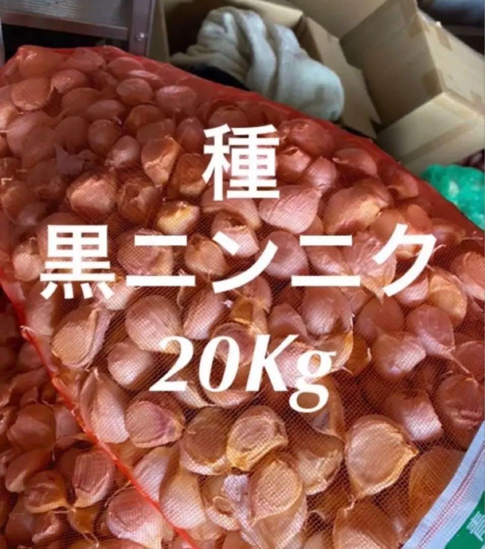 新物　青森バラにんにく20Kg ML