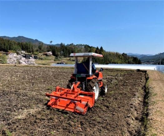 農家保有米 令和7年産 新米 コシヒカリ 10kg(5kg×2) 玄米 10キロ