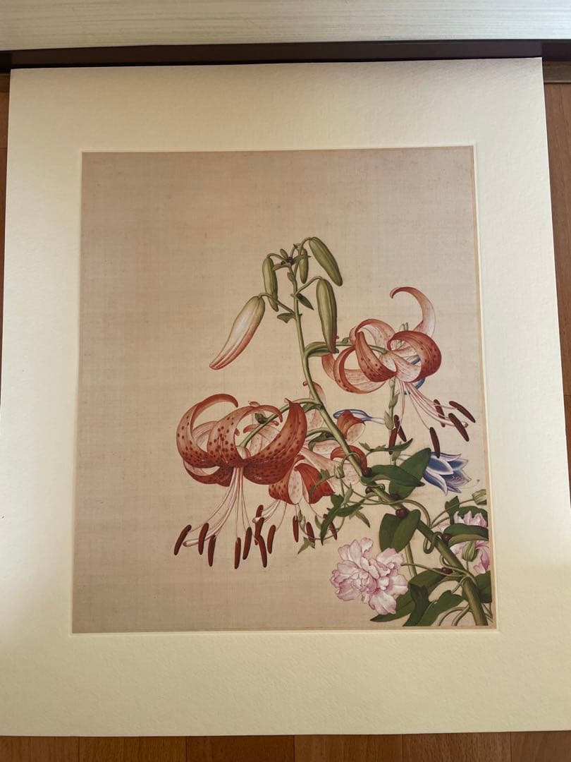 稀少中国清郎世宁长春图 名家绢絵 日本株式会社 二玄社印刷品16枚古董品