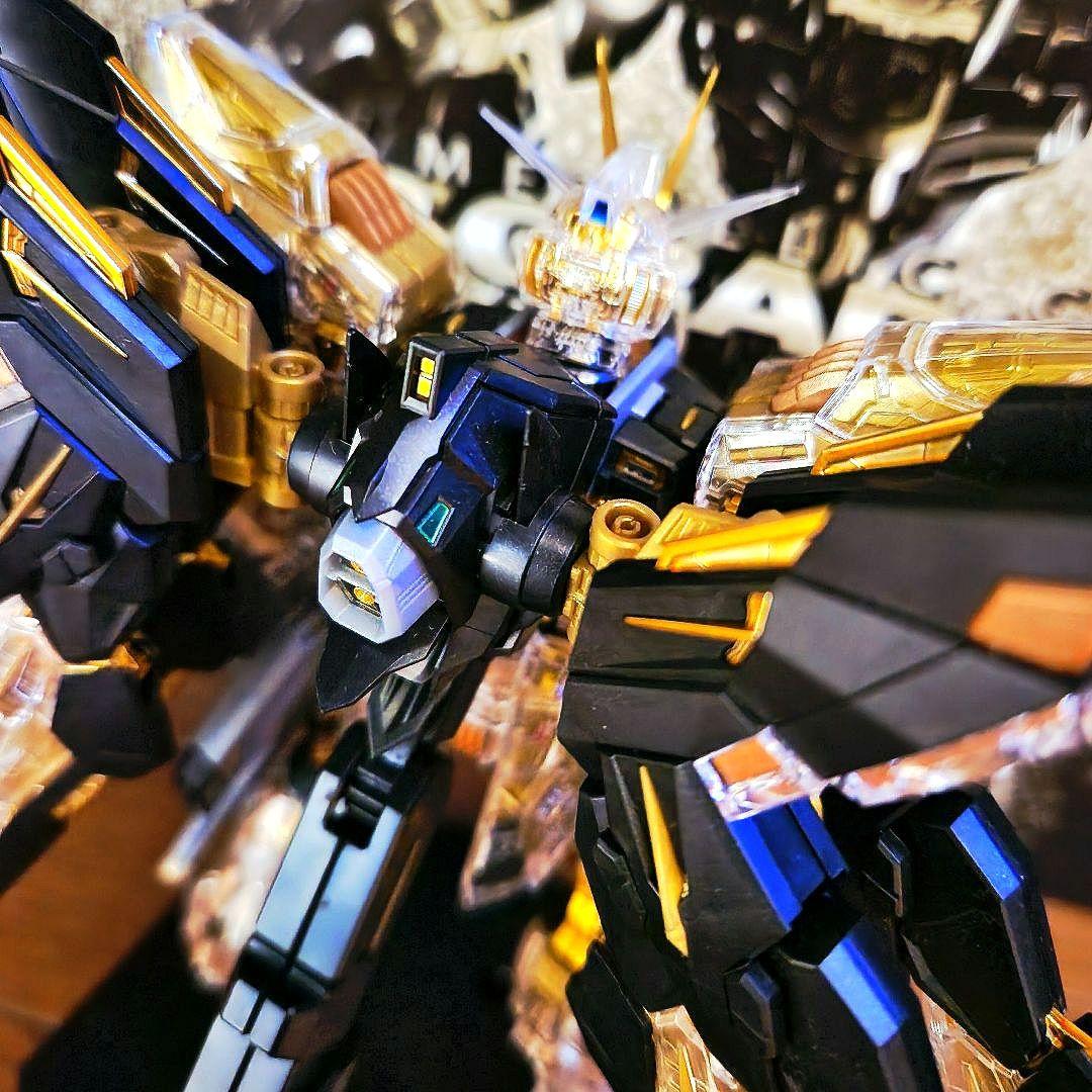 ユ*ナ様 ガンプラ MGEX ストライクフリーダム メカニカルクリア プラモデル