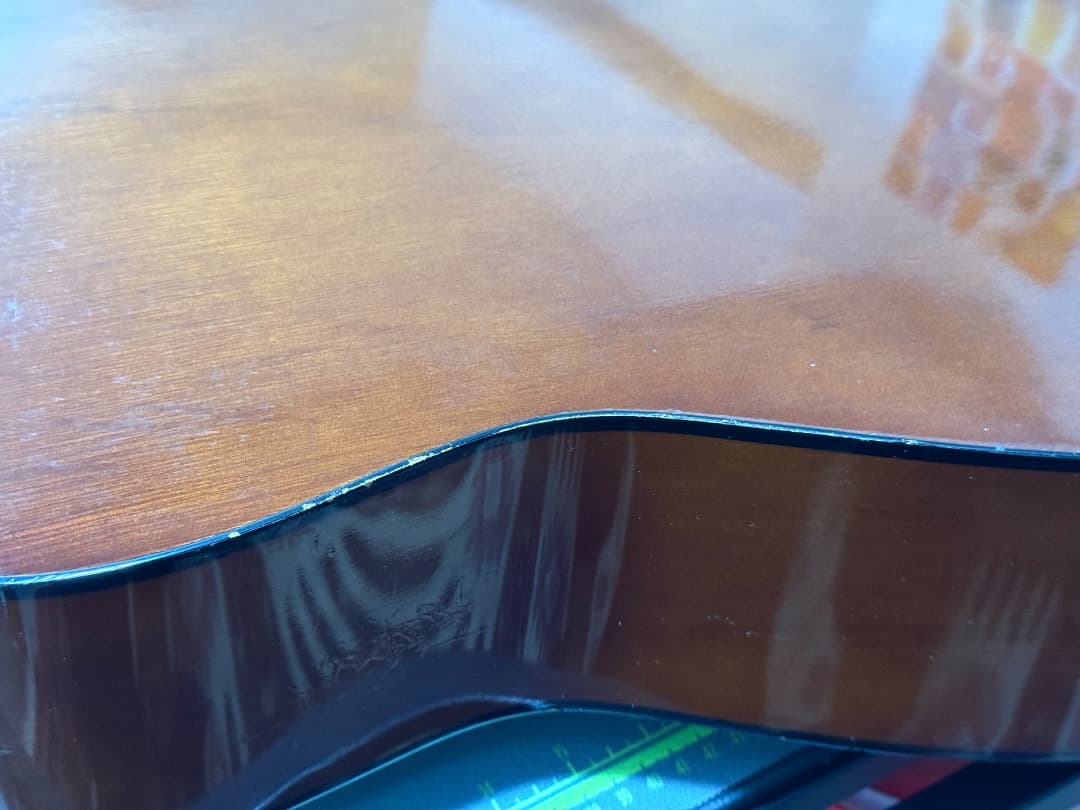 Yamaha F-310 ヤマハ＋ Gator製ギグケース