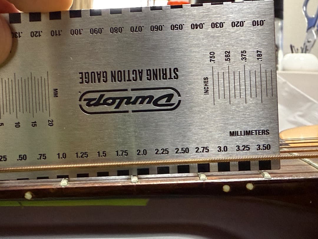 Yamaha F-310 ヤマハ＋ Gator製ギグケース