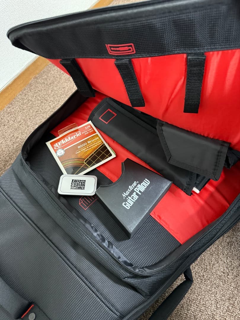 Yamaha F-310 ヤマハ＋ Gator製ギグケース