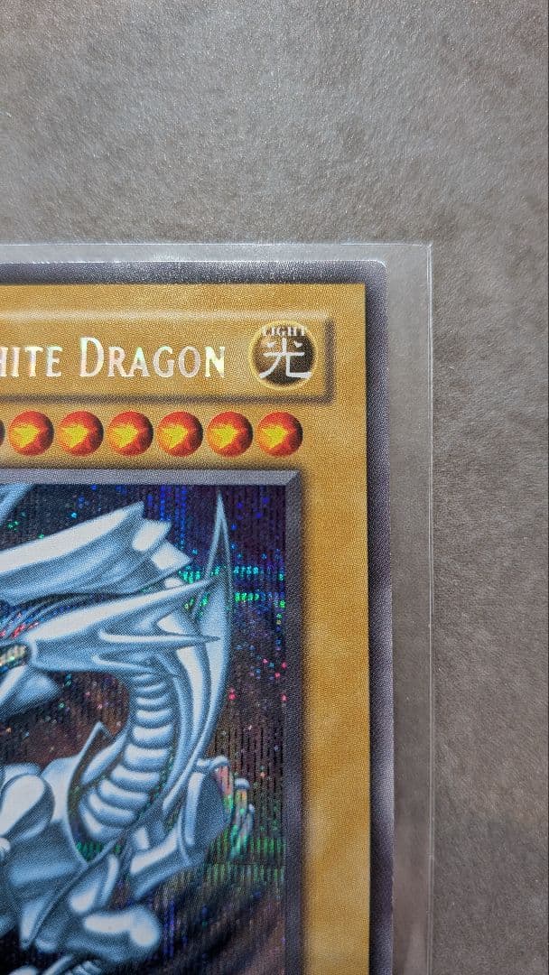 DDS-001 青眼の白龍　シークレット　シクブル