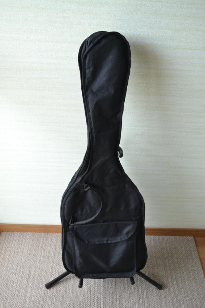 GrassRoots G-THROBBER-DX SW エレキ グラスルーツ