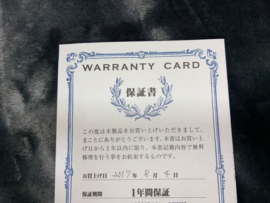 フジゲン　FGN Neo Classic NST101 12/20まで値下げ中