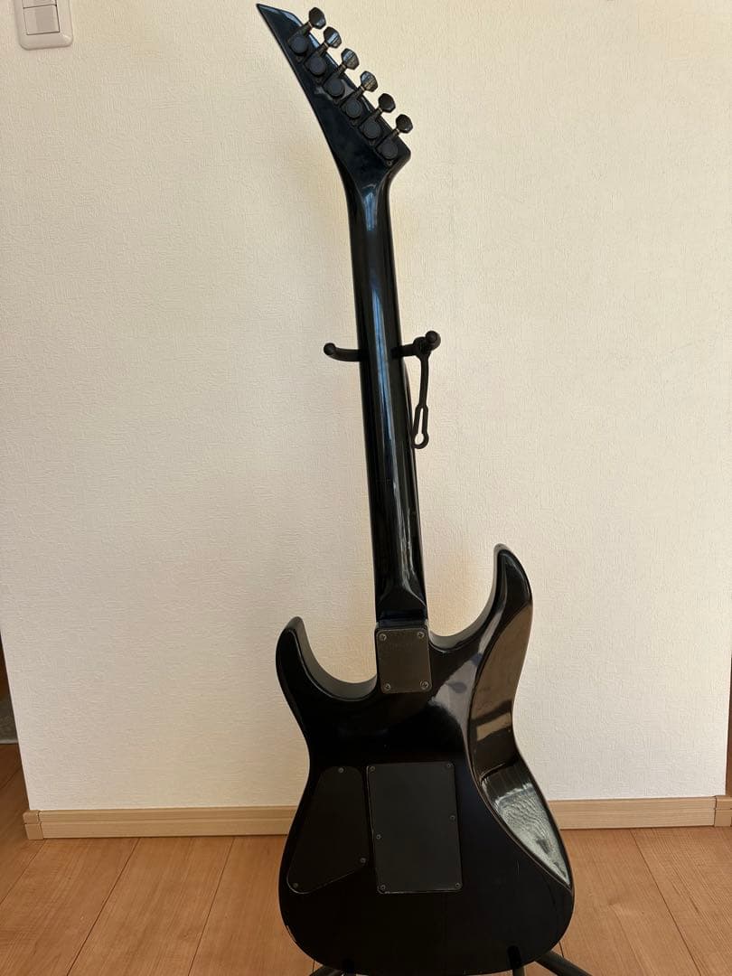 フェルナンデスギター