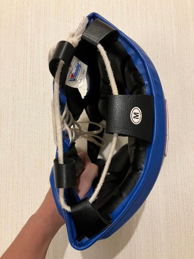 Winning ヘッドギア フルフェイスタイプ ブルー M FG-2900