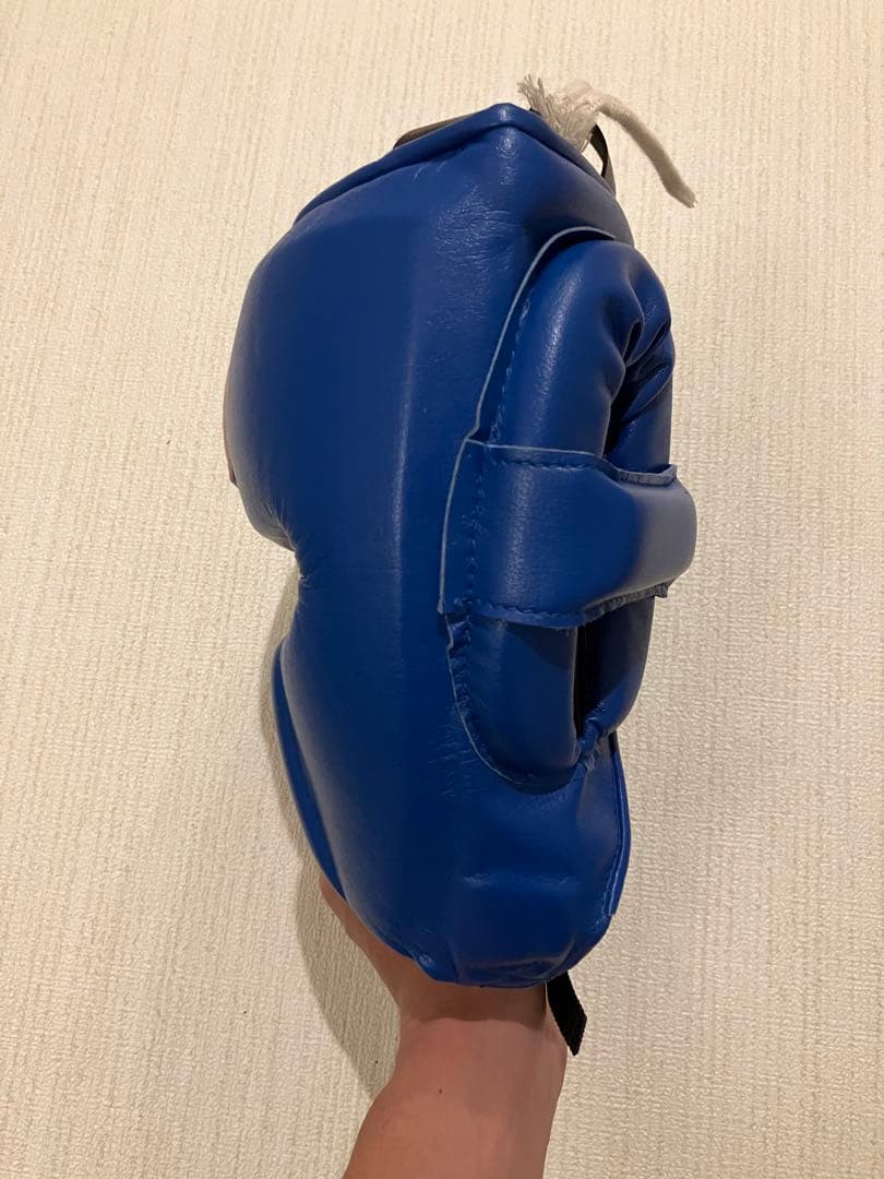 Winning ヘッドギア フルフェイスタイプ ブルー M FG-2900