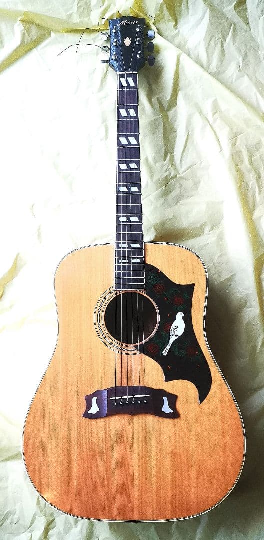 Morris モーリス WD-25N アコースティックギター ダヴモデル