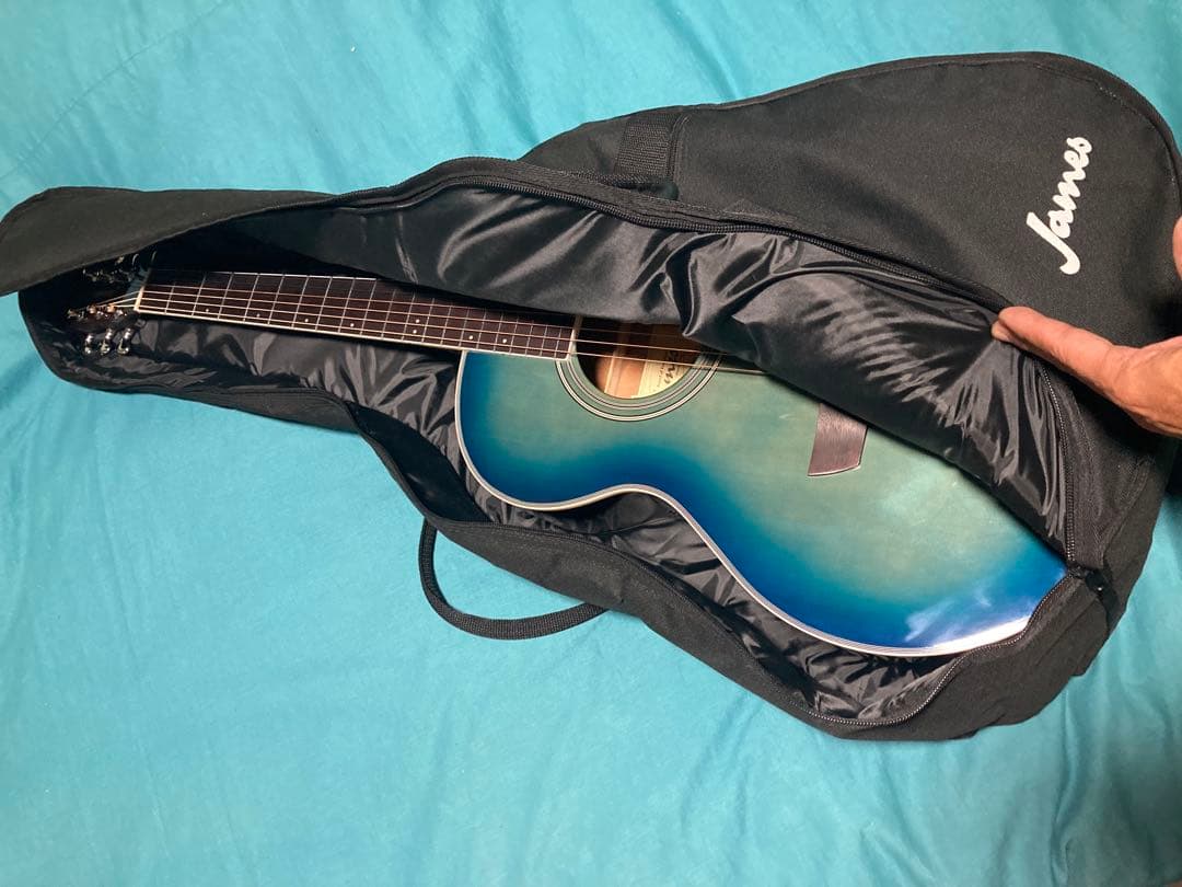 James J-300A/EBU 【最安値】ジェームスギター