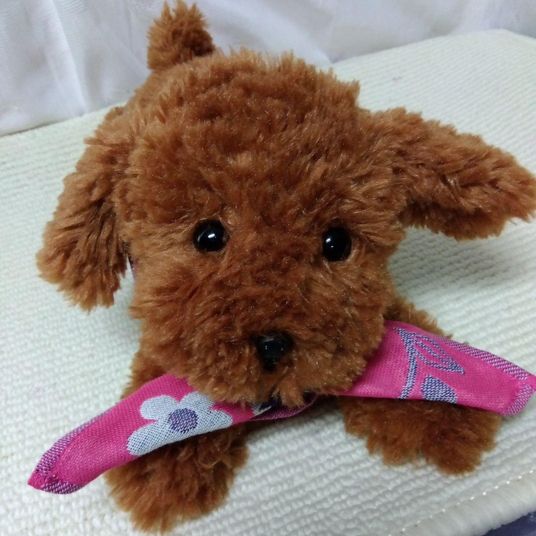 ふわふわモコモコ トイプードルひざわんこ（バンダナ付き）