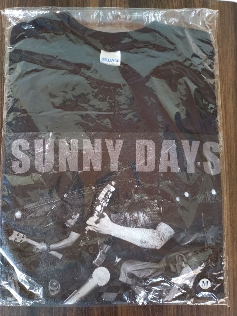 Hi-STANDARD SUNNY DAYS Tシャツ M