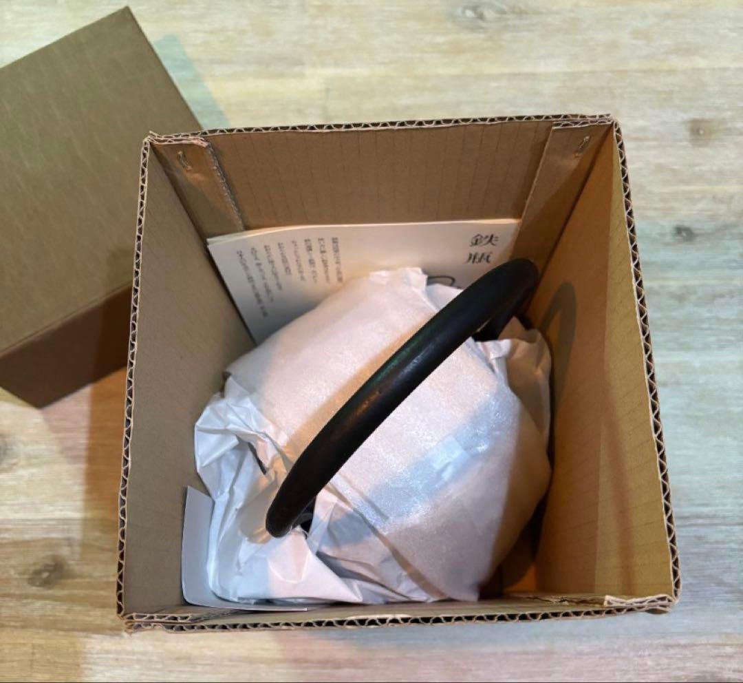 釜定　鉄瓶　秋の実　肌　新品　南部鉄器