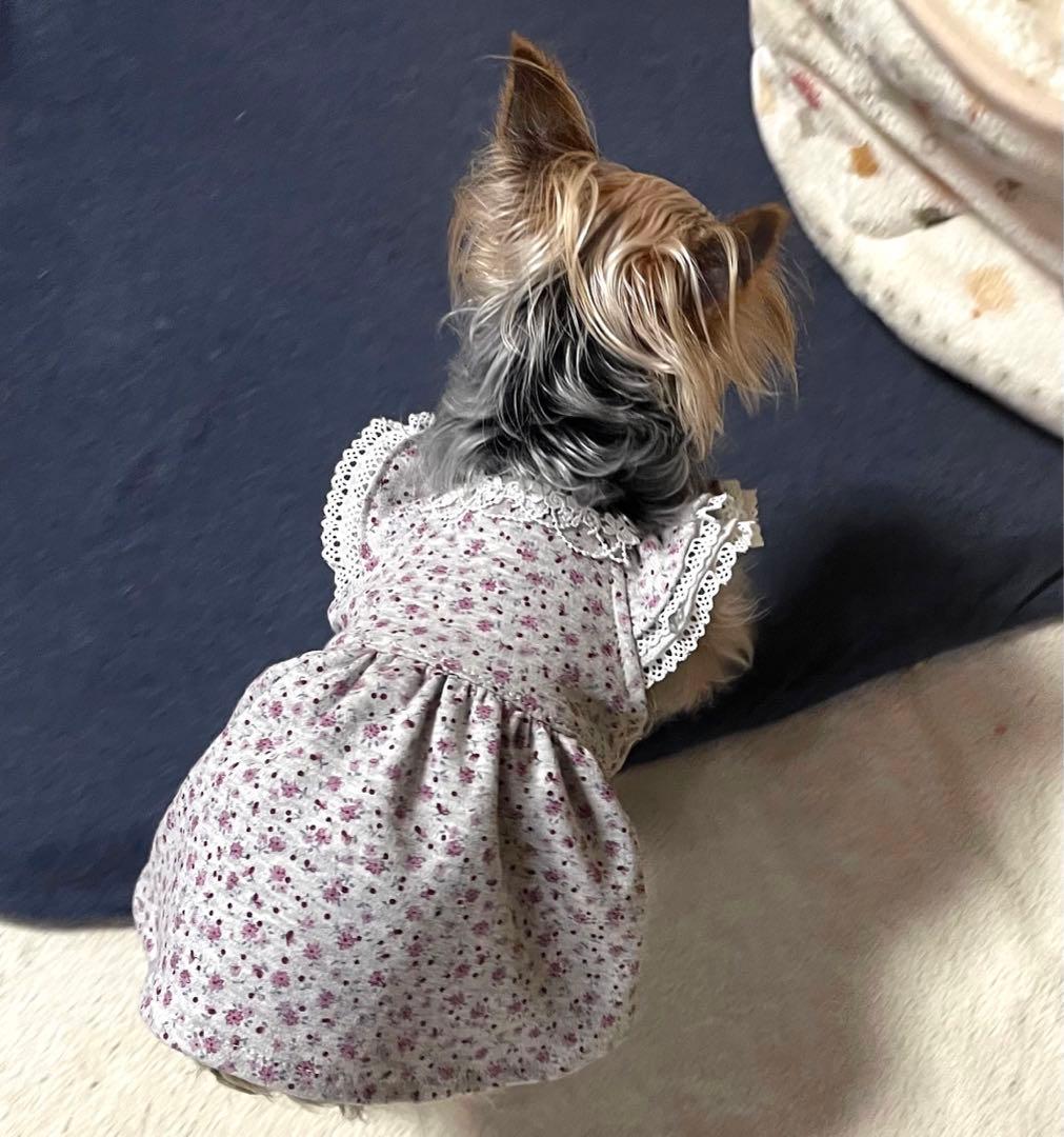 ハンドメイド犬服　小花柄ニットのヒラヒラお袖キャミワンピ　お袖2段レース付