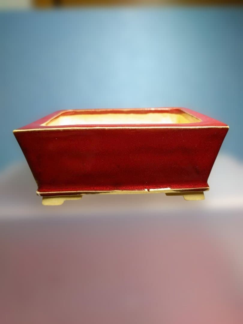 赤い漆器 水指 四角形盆栽鉢