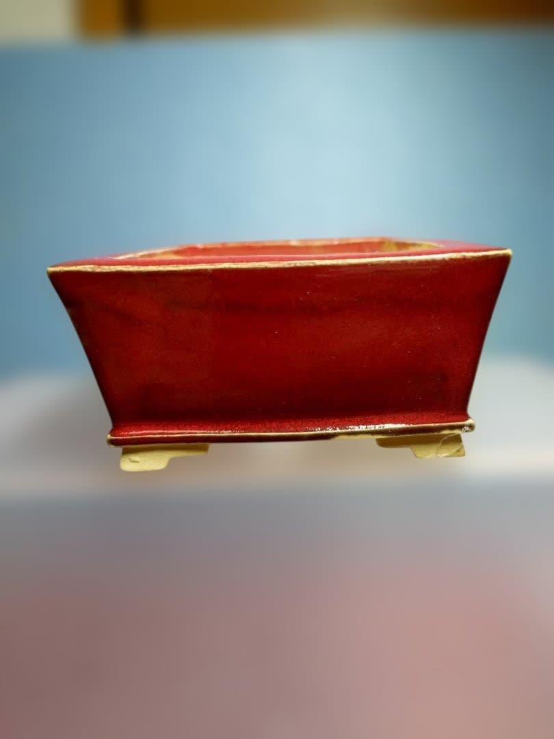 赤い漆器 水指 四角形盆栽鉢