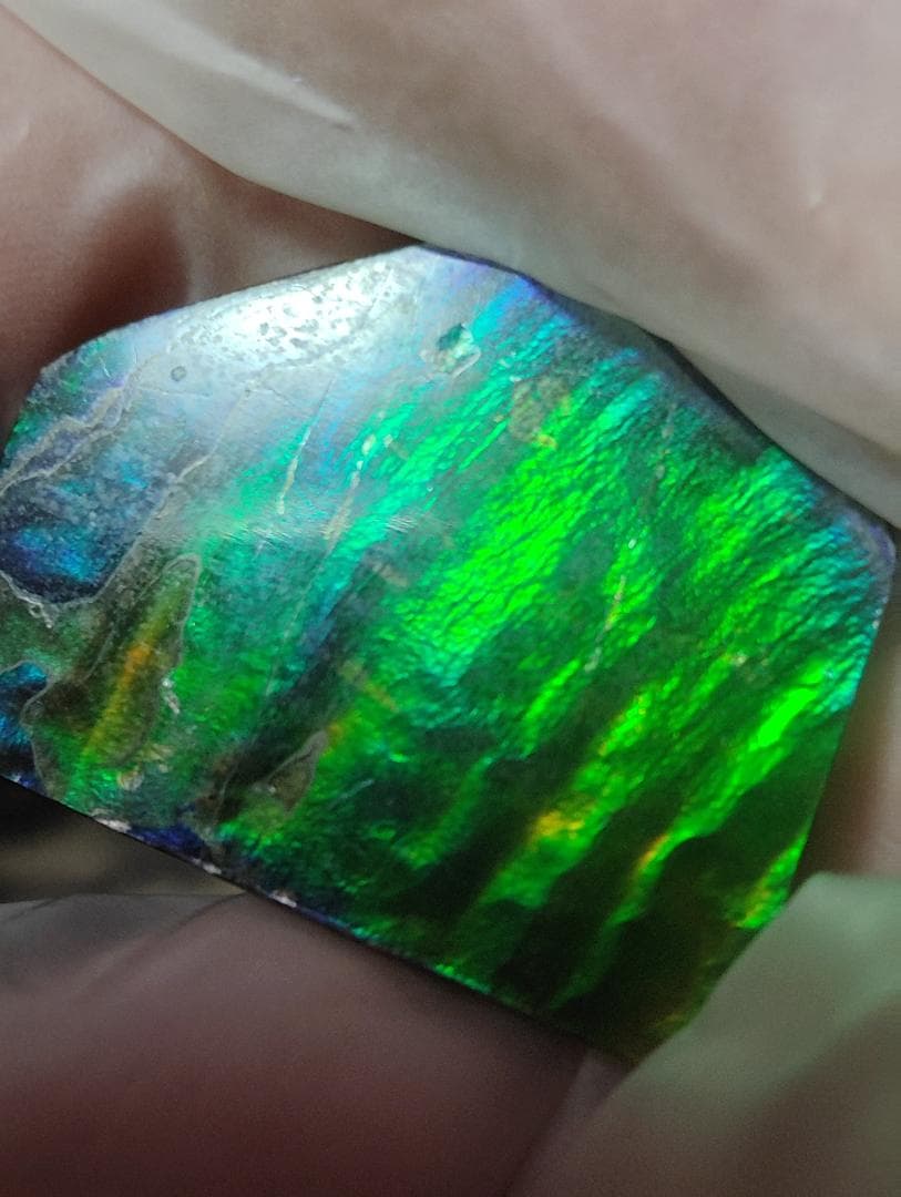 アンモライト　ルース　24-1418 32000