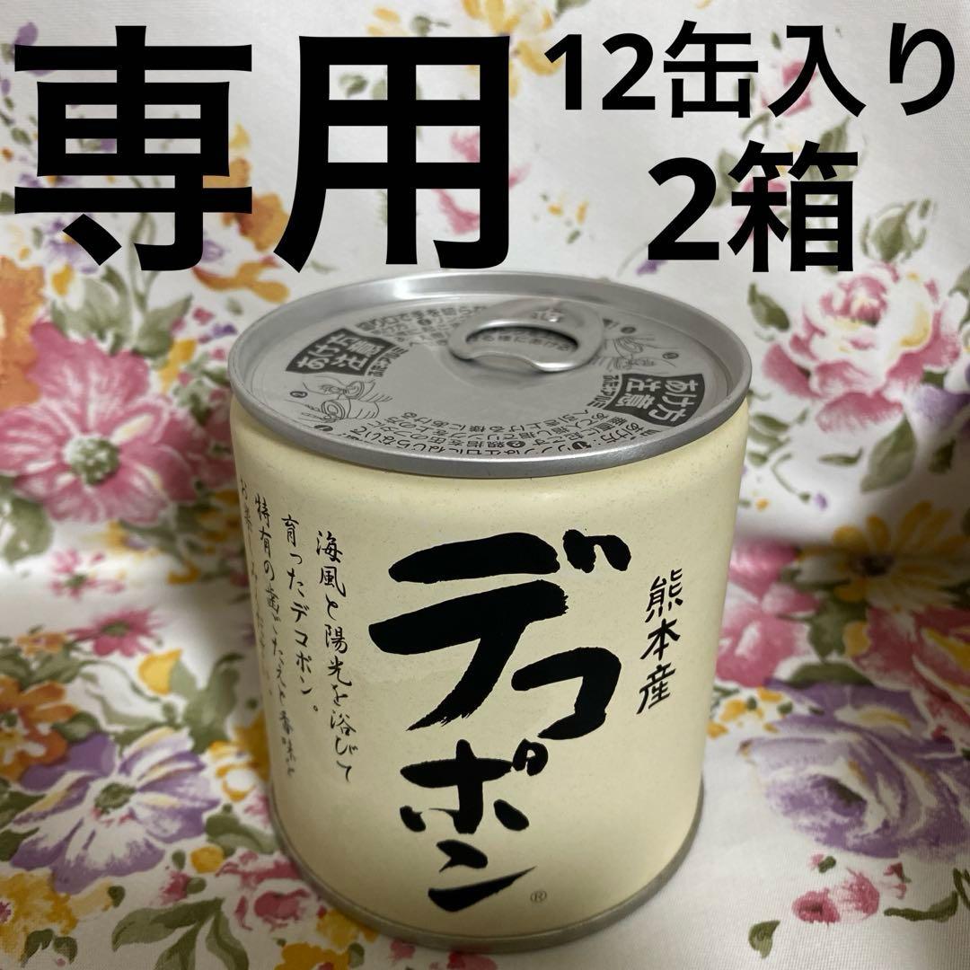 デコポン缶詰　24缶　あしきた農業　熊本県産デコポン　シラップづけ　缶詰　ギフト