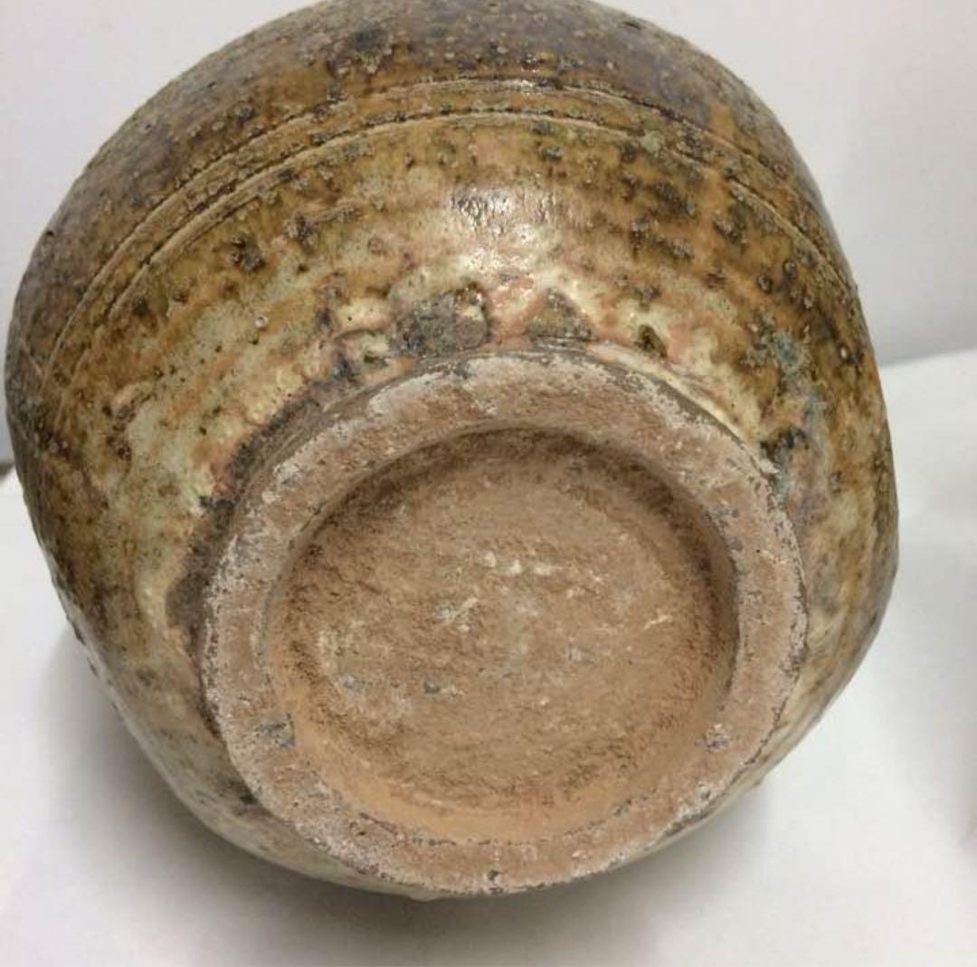 李朝 初期 鶏龍山　線刻 魚文 偏壺 木箱入