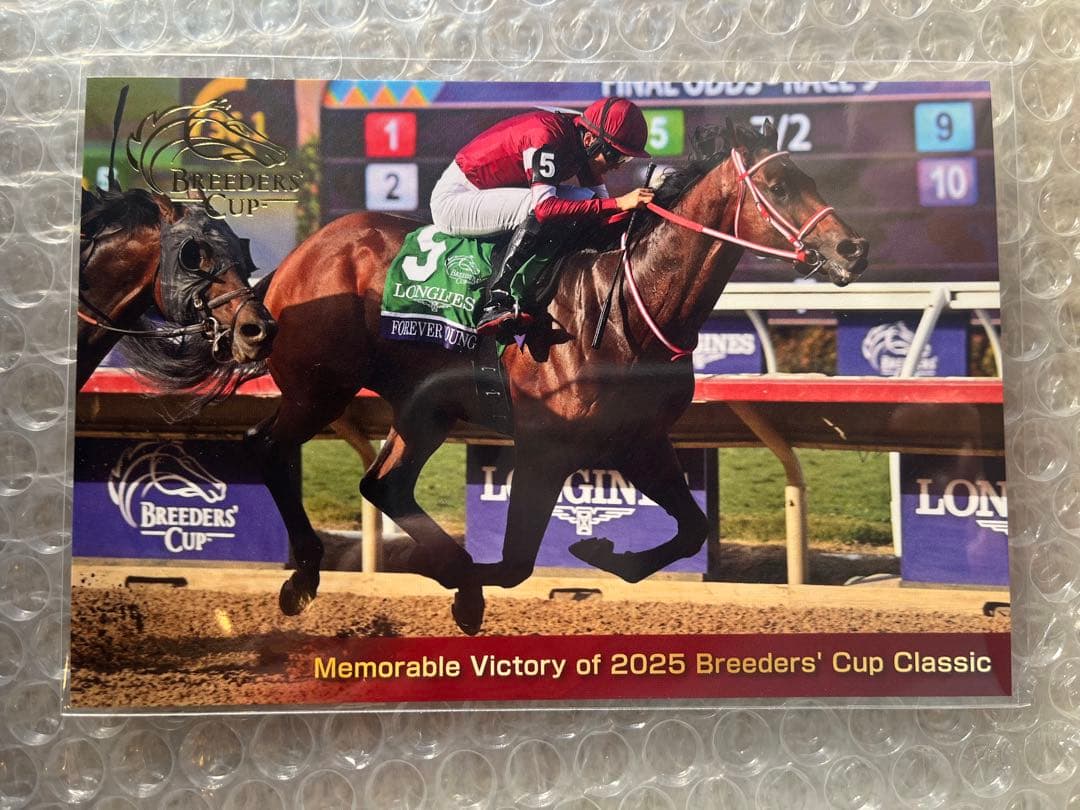 非売品フォーエバーヤング BC優勝記念 キャップ・ポストカード