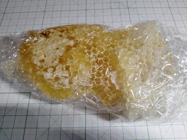 昆虫標本　ニホンミツバチ　巣盤　1番　2590g