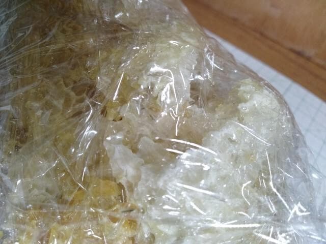 昆虫標本　ニホンミツバチ　巣盤　1番　2590g