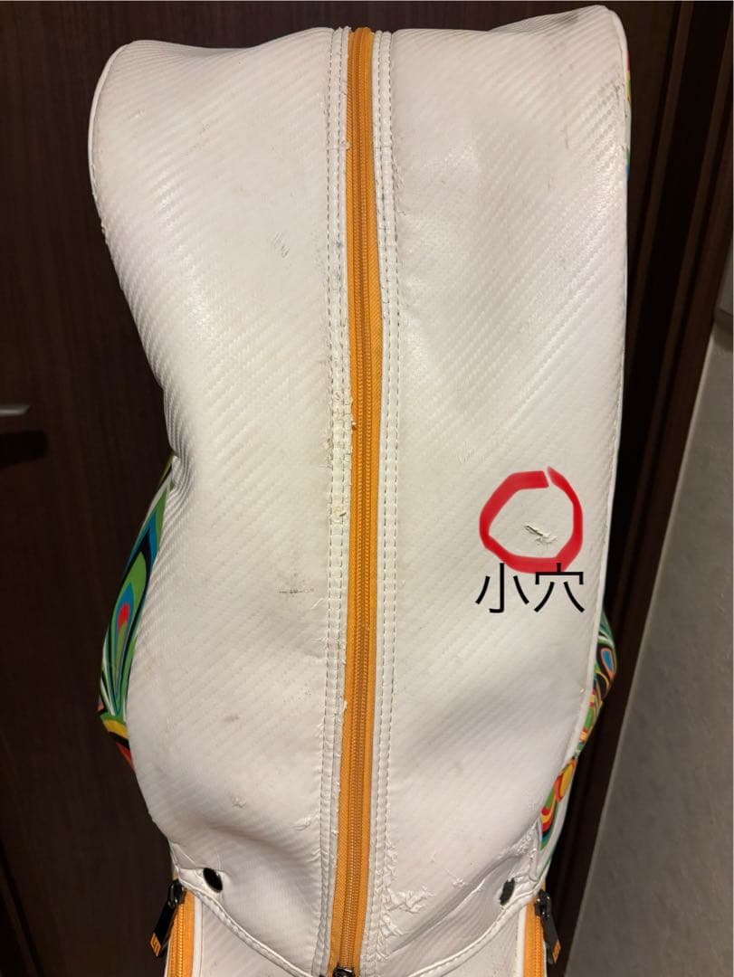 Loudmouth シャガデリック　キャディバッグ