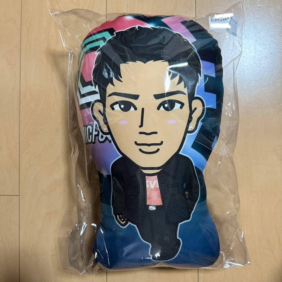 小波津志BIGクッション