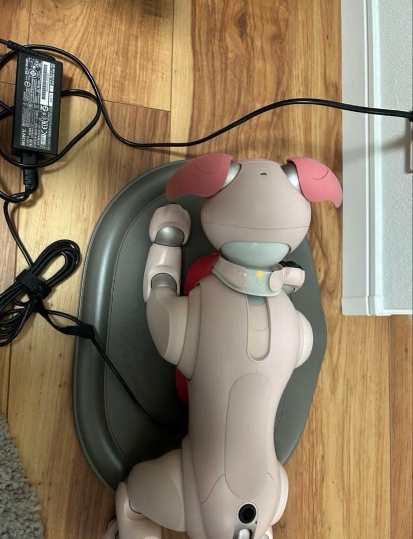 【輝夜出品】SONY aibo いちごミルクエディション