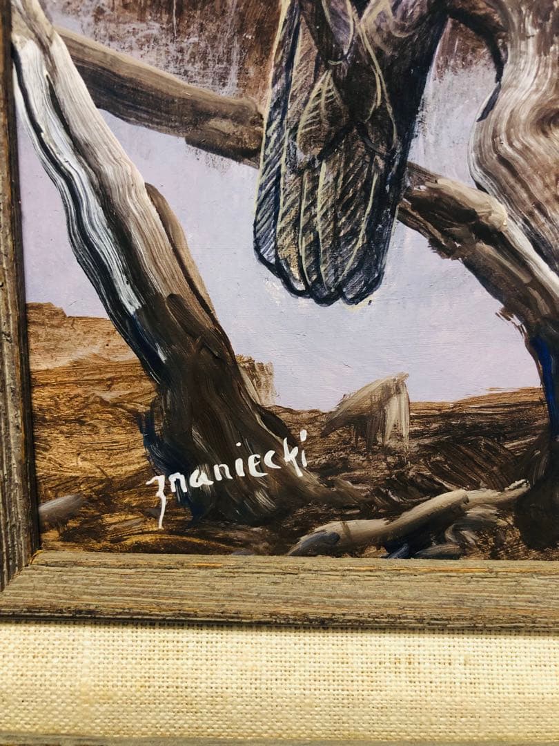 Anton Znaniecki ハヤブサ Falcon 絵画