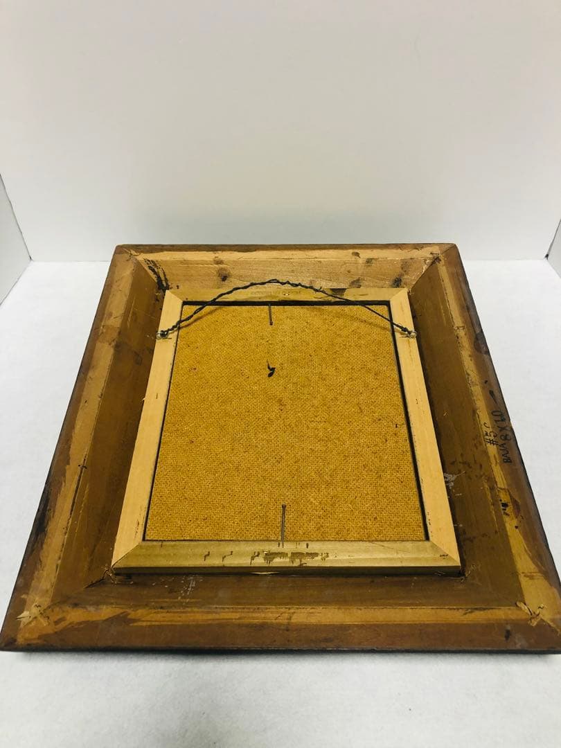 Anton Znaniecki ハヤブサ Falcon 絵画