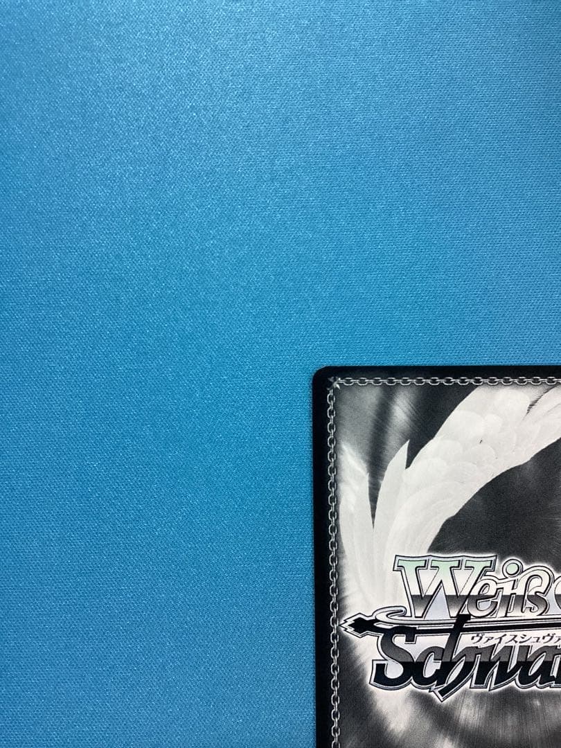 WS サポーター ベルノライト SSP サイン