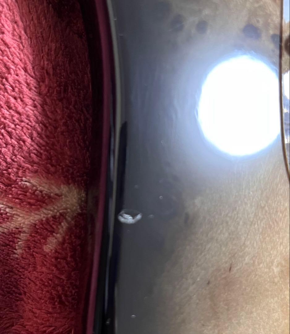 Bacchus WJB-BP/Act BK-B ベース