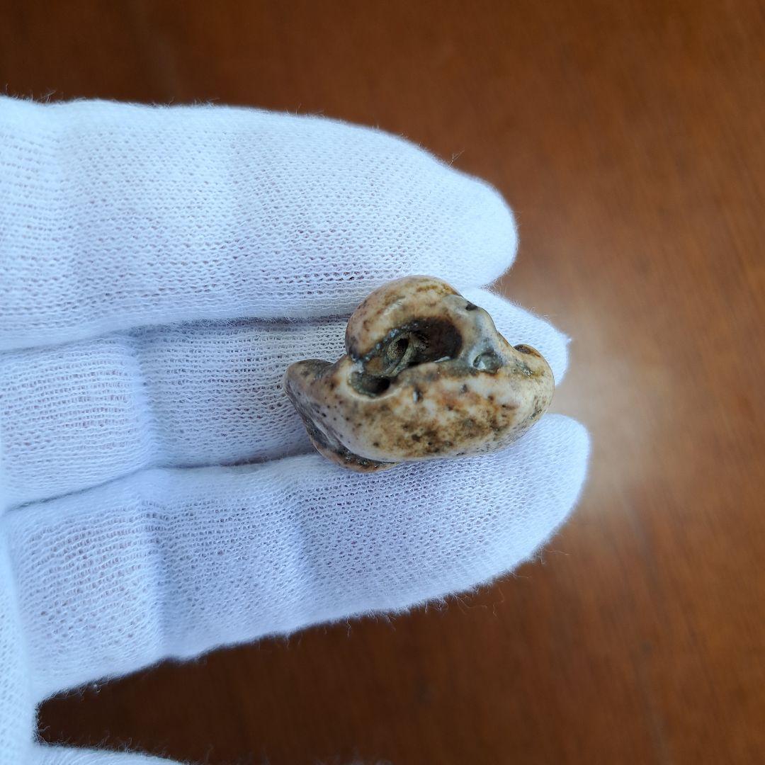 イルカの耳骨【大きさ2.7㎝　②】