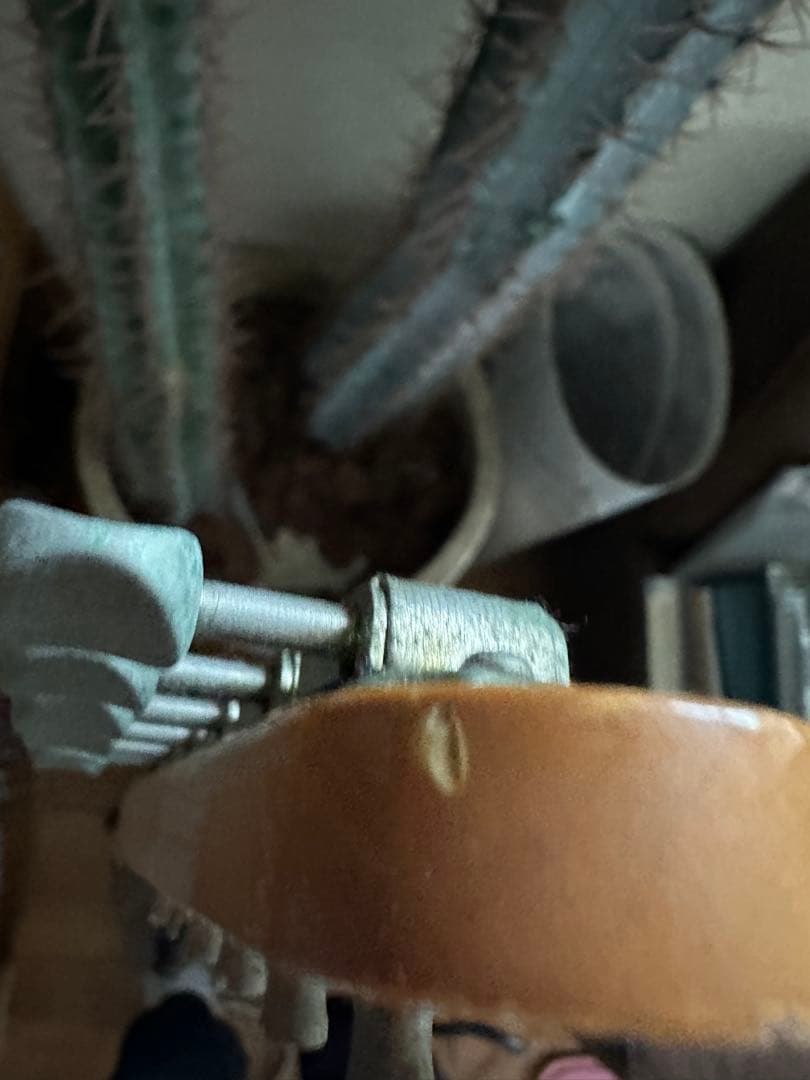 テレキャスタータイプ エレキギター クリーム