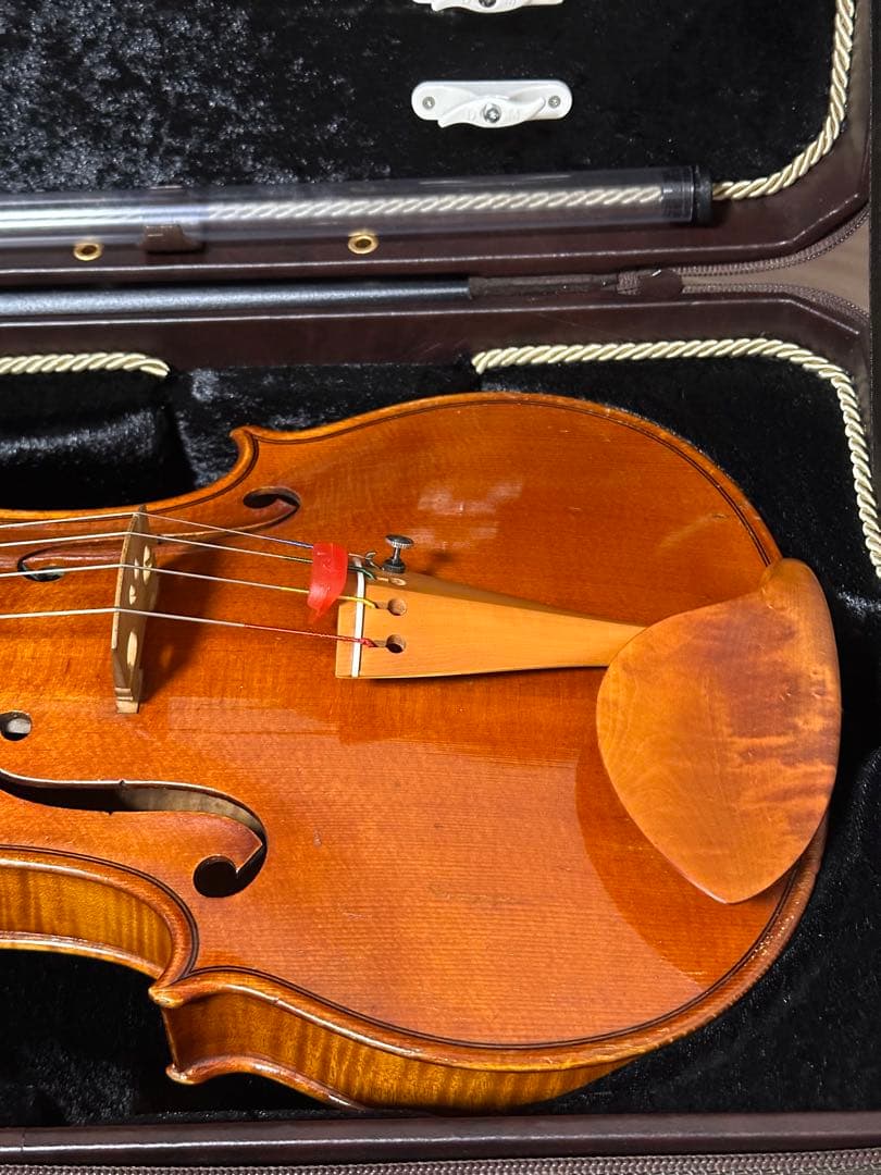 【希少】Musafia Lievissima ヴィオラケース