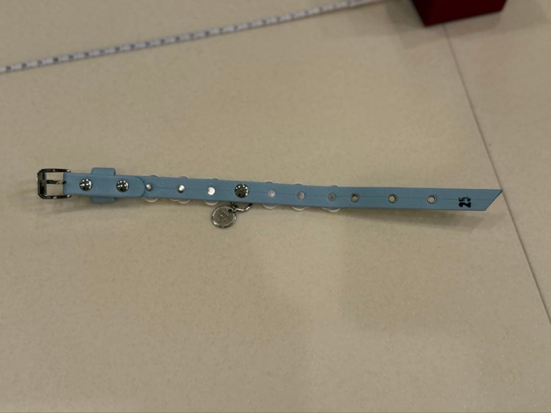 シャーロットドレス/Charlotte's Dress/犬用の首輪/25サイズ