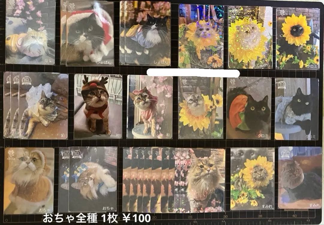 猫カフェmocha にゃんずトレカ バラ売り⭕️