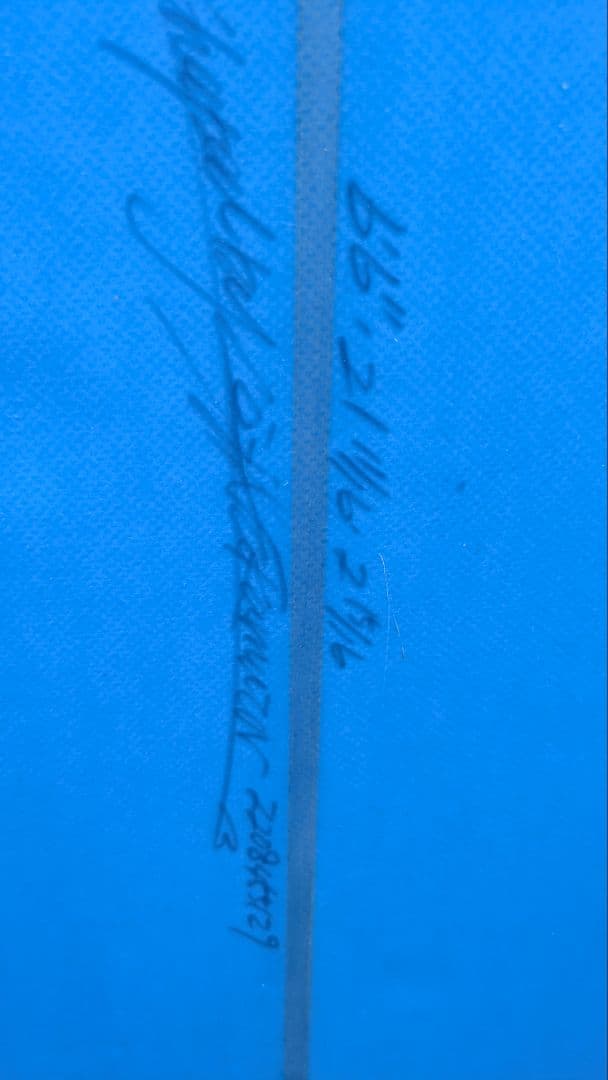 青色のファンボード EST 6'6 デッキパッド、ケース付き