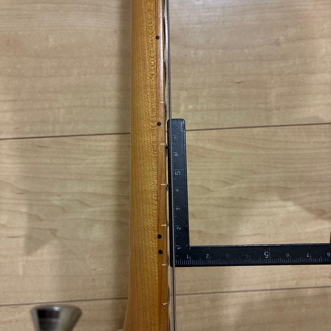 メンテ済み　超美品　バッカス　ストラトタイプBST-2 rsm