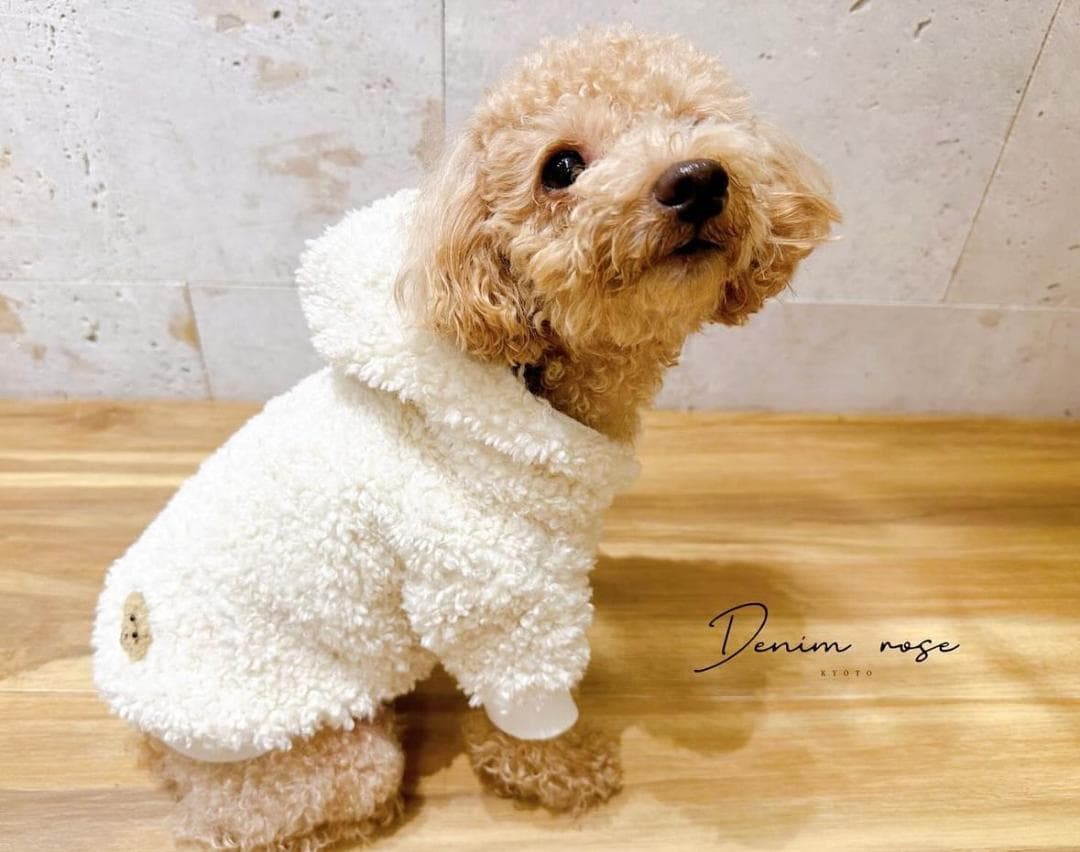 DENIM ROSE ワッペンボアジャケット