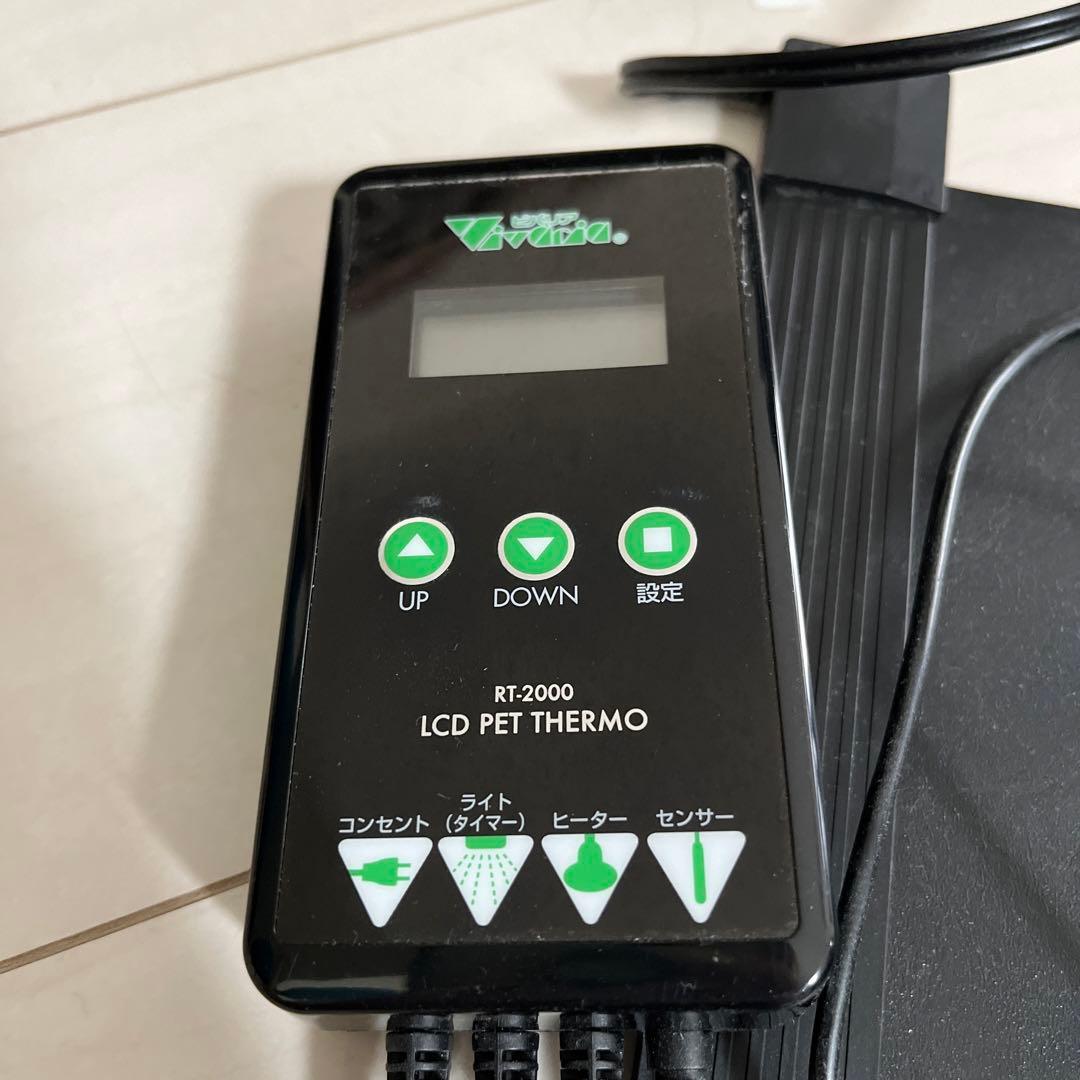 ミントのくちばし　